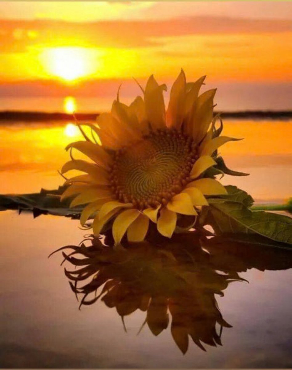 MsJess76's tweet photo. Buenos Dias! 💛 Start your Morning on a Positive Level! #weekendvibes https://t.co/jB2LjcNS8K