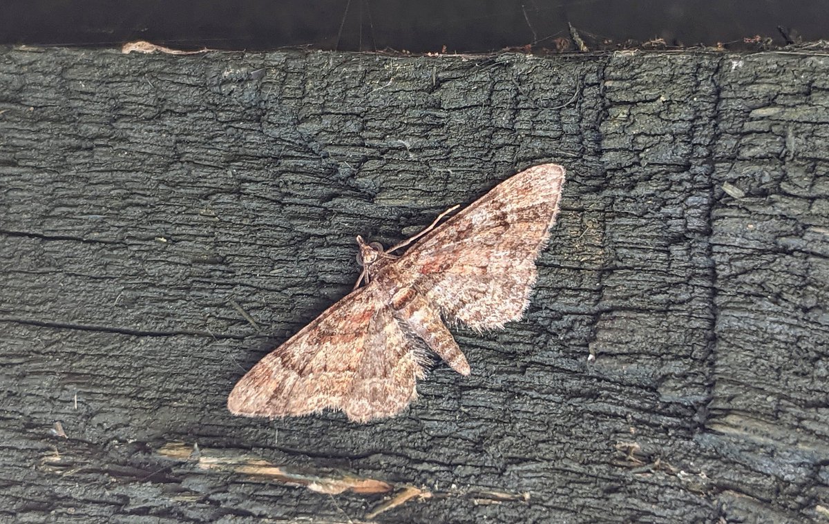 Lindsey💙 🇺🇦 tweet media