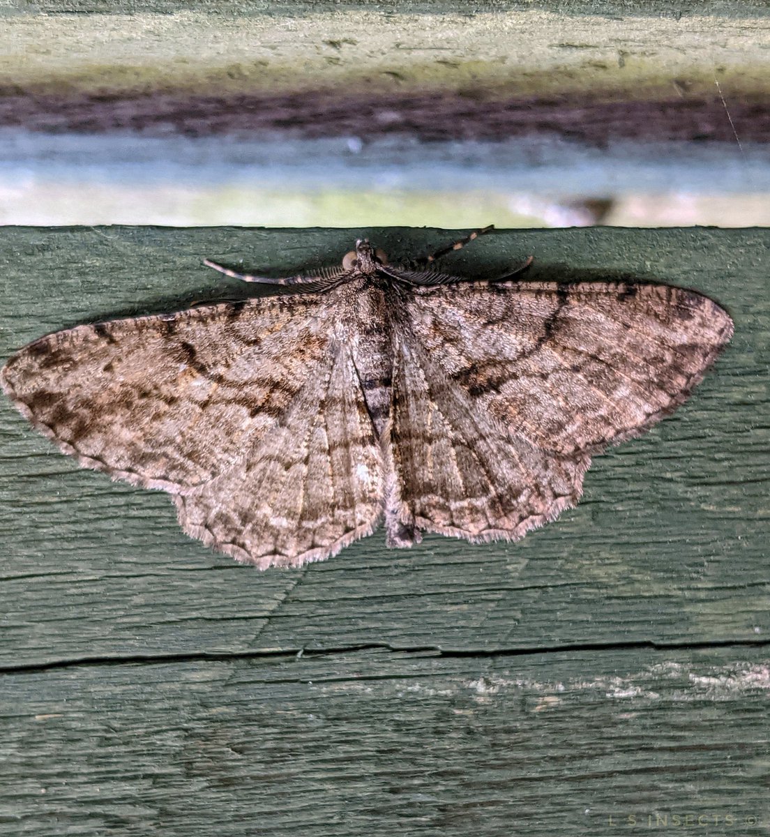 Lindsey💙 🇺🇦 tweet media