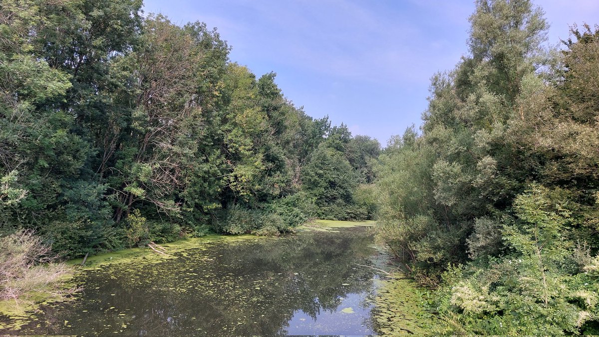 Third: visit of Heisinger Ruhraue. Restoration was done with some restrictions. But positive effects on standing water bodies, soft and hard wood forest. Further action planned.