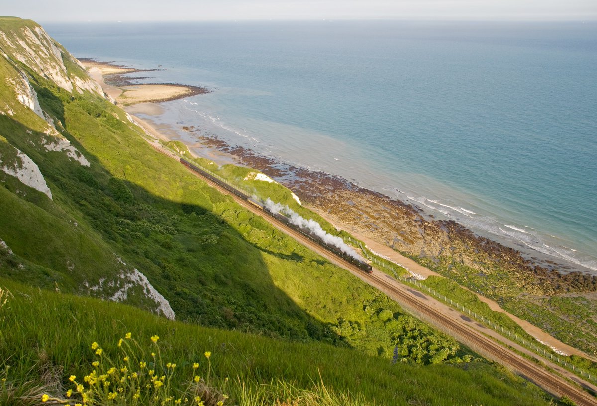 The Royal Windsor Steam Express tweet media
