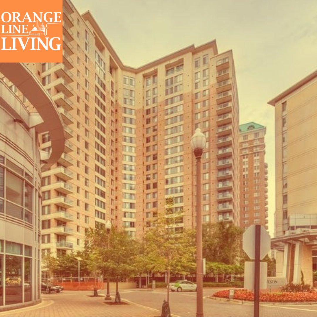📍The Continental

A high-rise, luxury condominium just a short walk from the Ballston Metro. Upper floors have amazing views of Arlington and the surrounding area. 

Call to speak to an agent today! 📞 (703) 609-5183
•
• 
•
#realestate #dmv #Arlingtonva #metro #washingtondc