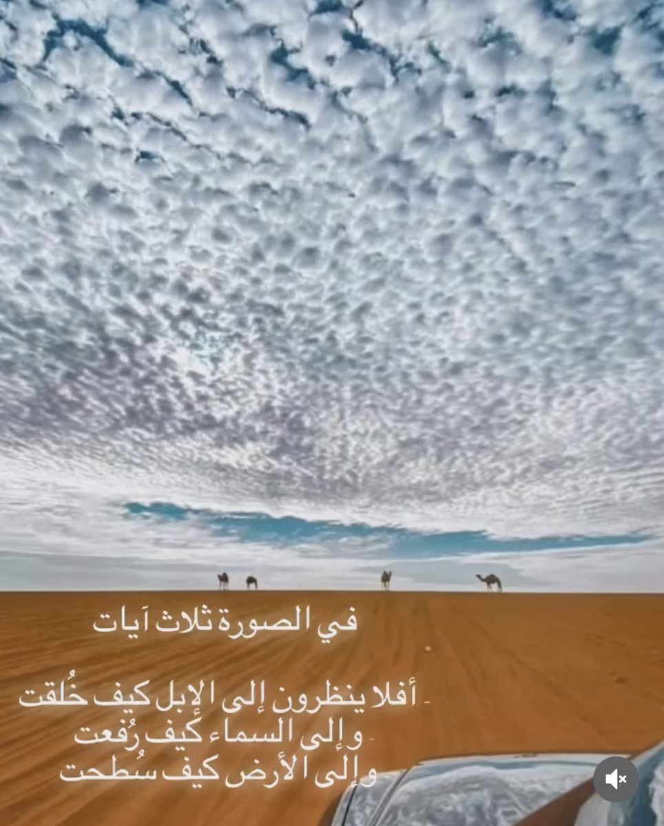 dnooo_222's tweet photo. #ساعه_استجابه https://t.co/JFRcLBHJFc
