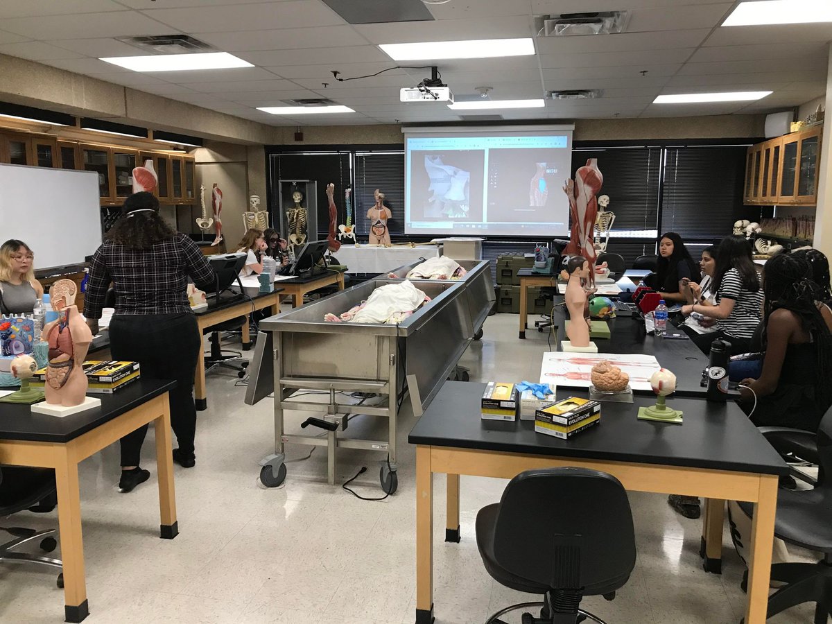 UTSA_BHE's tweet photo. We had a blast during our Fall 2022 Orientation! It was so nice meeting our incoming freshman and transfer students. #utsa #utsasciences #utsaib #biology #environmentalscience #multidisciplinaryscience #environmentalstudies https://t.co/rjss9b5y1m