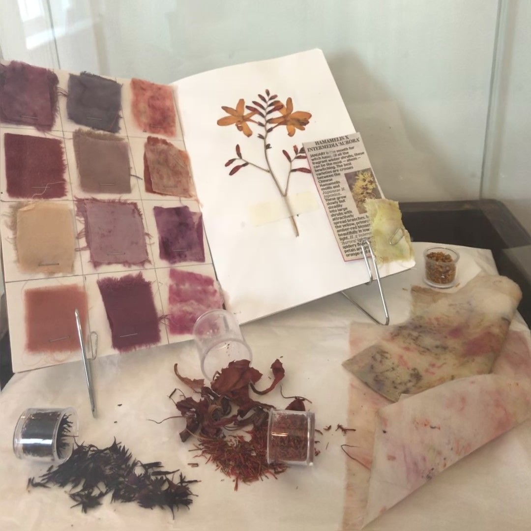 We’ve been busy co-curating an exhibition with Hail Nursery and Primary Academy. Come and see what they’ve been up to and what they have to tell us.