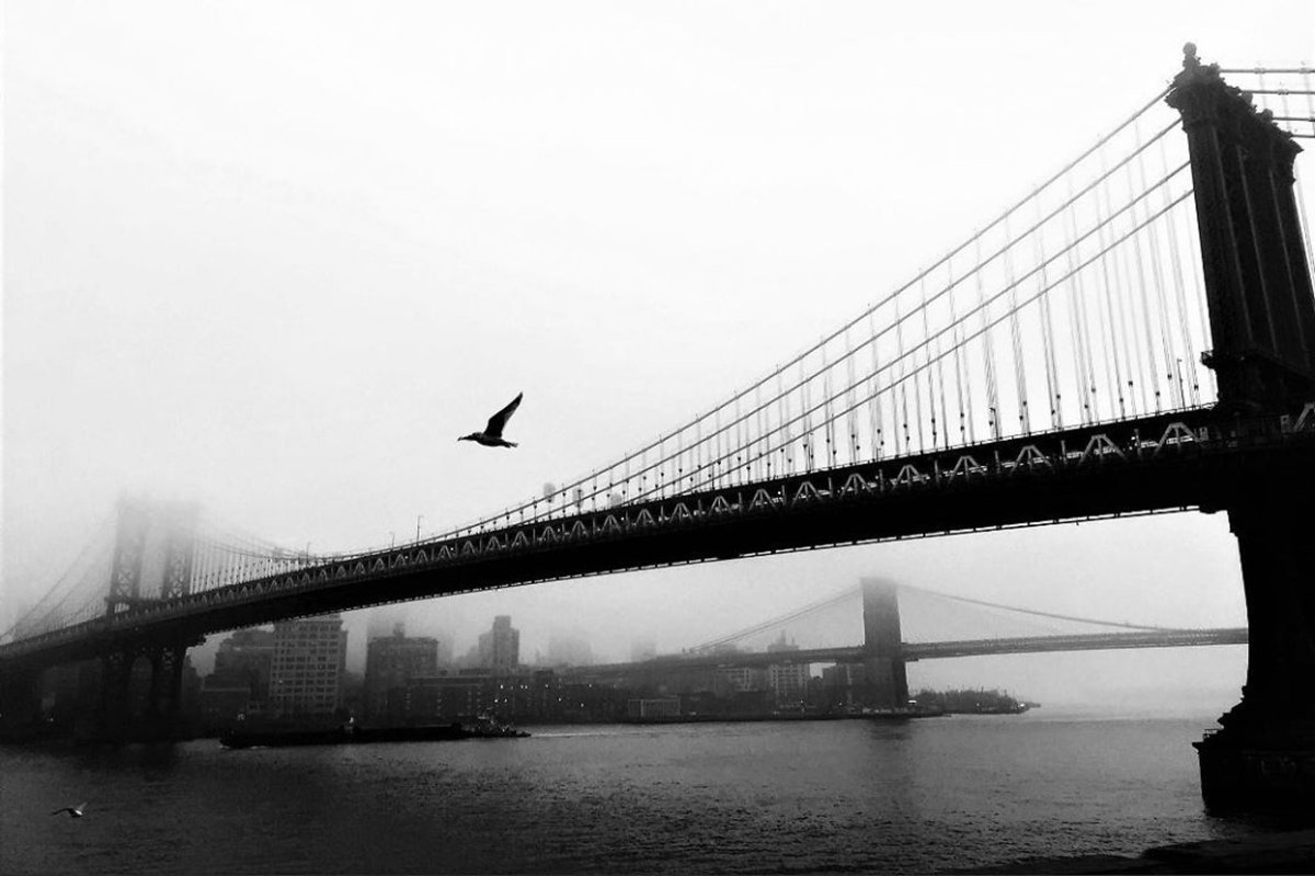 Meredith Frost tweet media