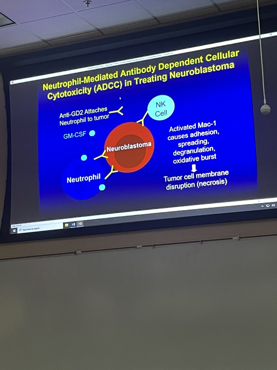Pams_lu's tweet photo. Dr. Reynolds talking to us a little about cancer and immunotherapy. Great presentation! #gsbsretreat22 https://t.co/c50oMvBQPO