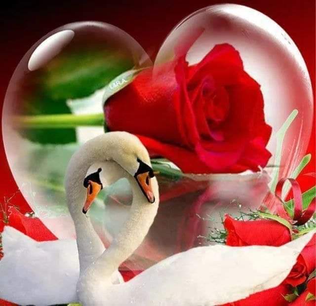 Alaayous3's tweet photo. #loyal #AMY🅰️
@Alaayous3
@SentimentosNP
@SabyMis
@glorinne4
@esterDmar
@TaposKumarBasu
@shd0016
@glorinne4
@2Ay_la
@9U5II
@__mar_sh_
@Redrose_0625
@psyche_pierce
@i2hue
@zxcvb00303
@faminasferreira
@MarthaCandia21
@miarianmoreno
@AmorSublime3
@Sahara_ii
@Laas1199
@Esf__1 https://t.co/A4LXrUh4Dl