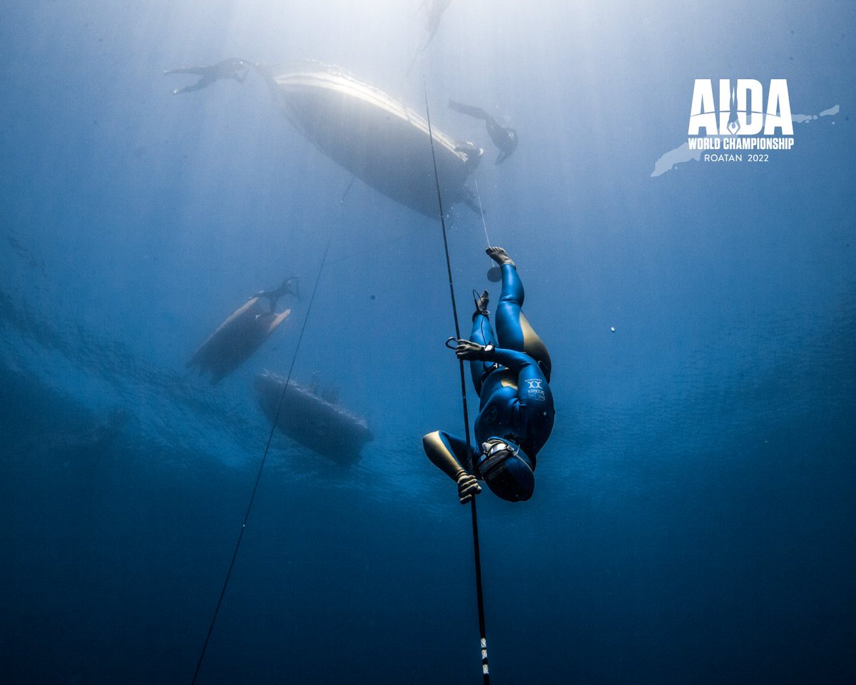 AIDA International tweet media