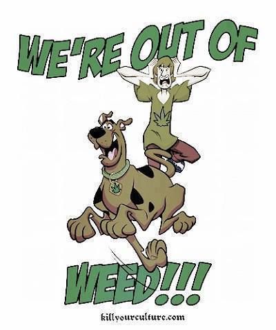 MyMedCard_app's tweet photo. Quick!!!! To the dispo 🏃 

#MyMedCard #scoobysnacks #cannabiscommunity https://t.co/XadRkomCVW