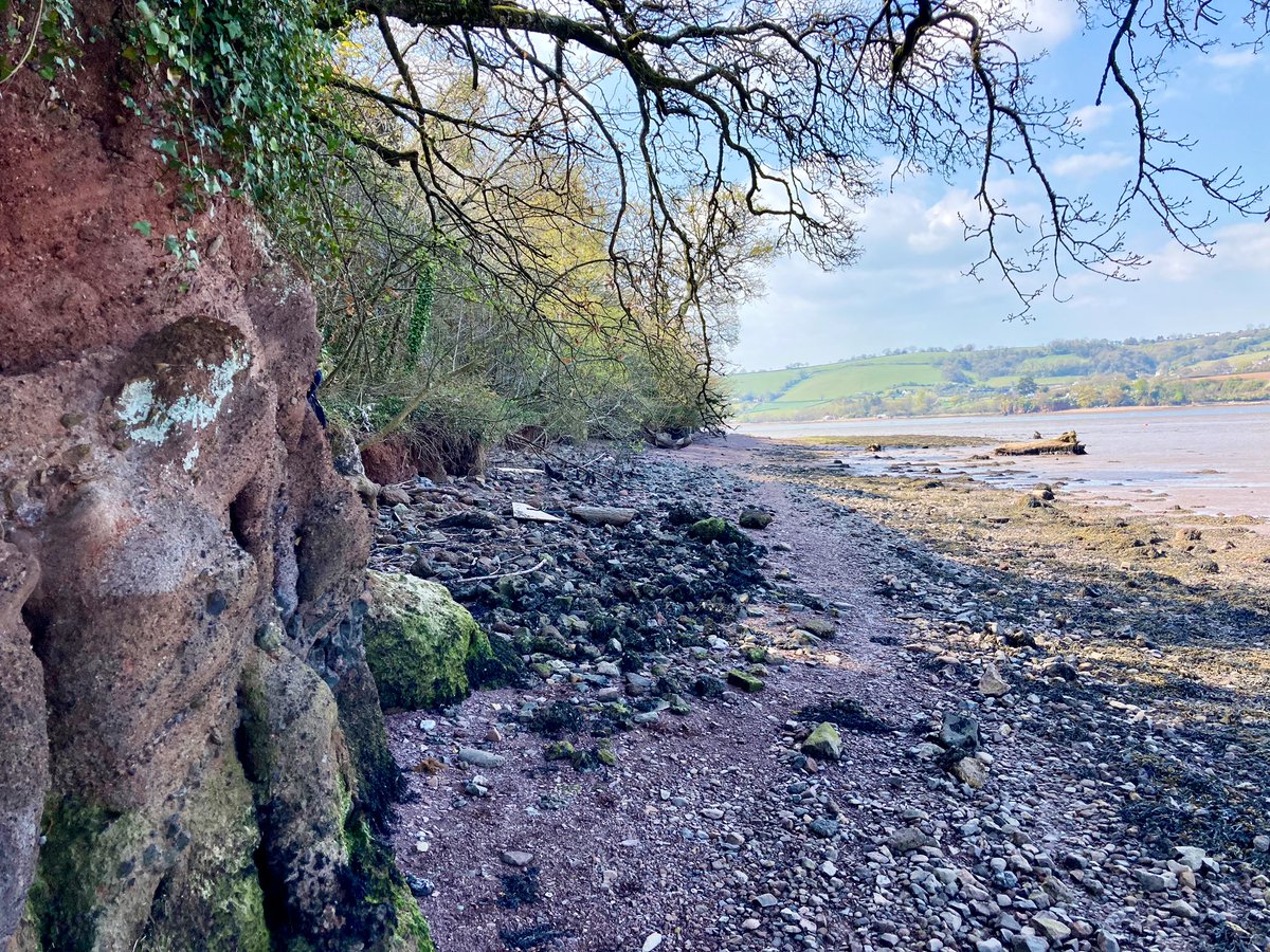 April Windle tweet media