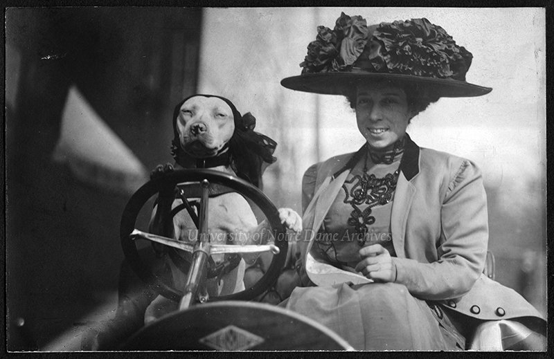 FightingIrish's tweet photo. We’ve always loved #NationalDogDay.

In 1909, Edyth, the wife of 
@NDFootball coach Frank Longman, posed for a photo with team mascot Clashmore Mike. 🐶

#GoIrish https://t.co/ydIXwlKTM7