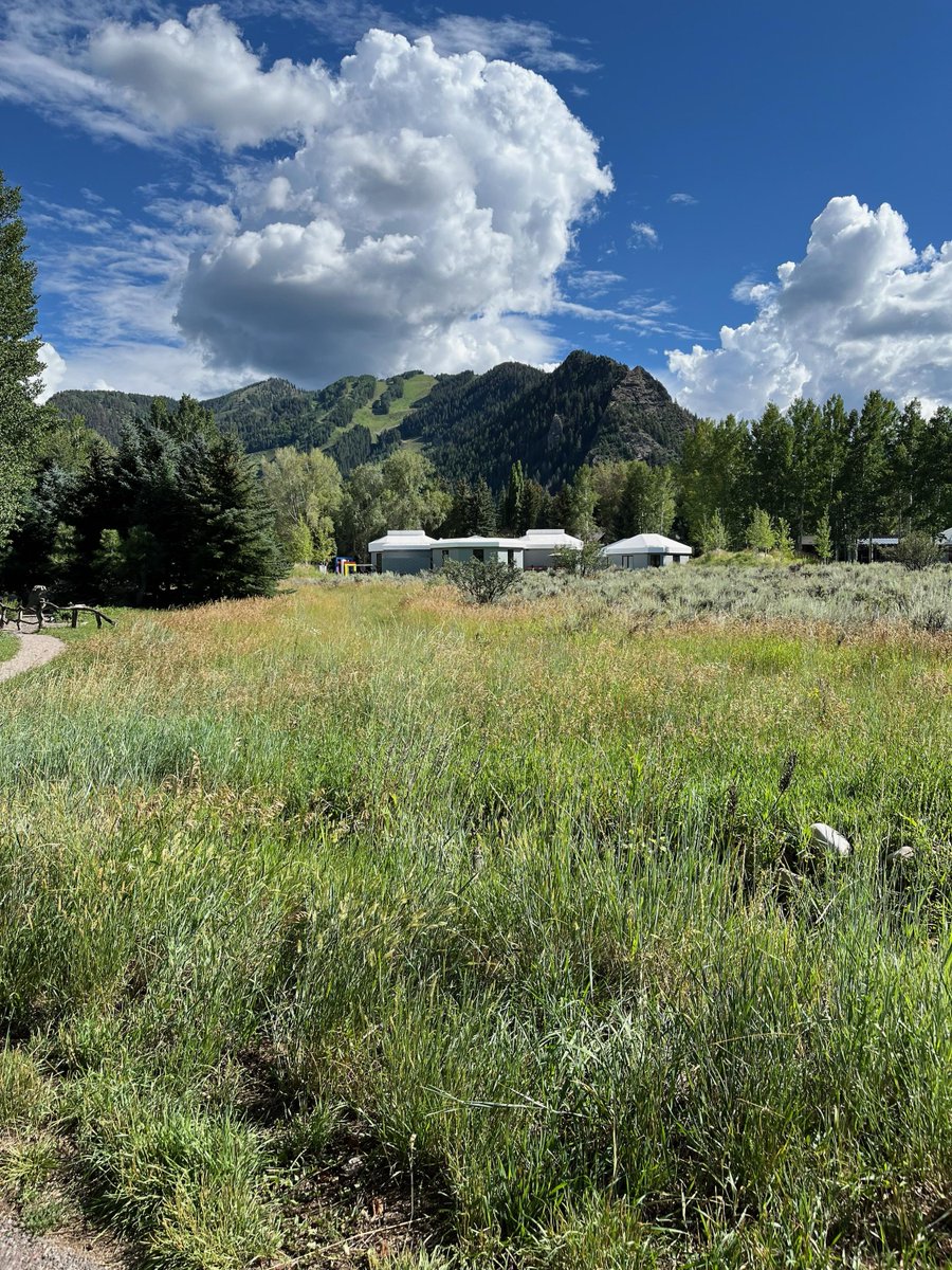 This week, @DrLucyMarcil has been at a conference with fellow @AspenInstitute #AscendFellows in Colorado! Check out her update here: ow.ly/gwcM50Ko330 #healthequity #WealthisHealth #economicopportunities #financialempowerment