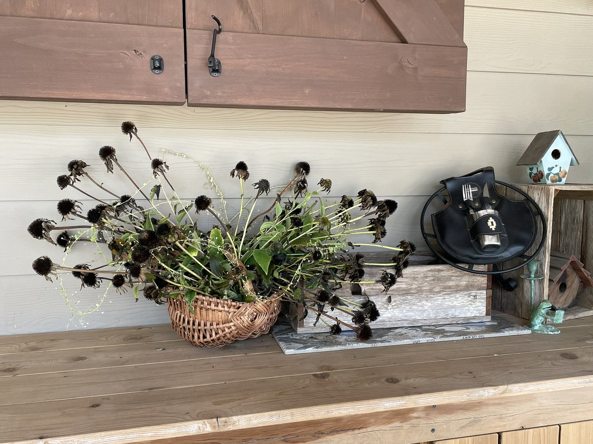 lisamariernc's tweet photo. Time to harvest and arrange #repurpose https://t.co/Aw0Z0Dq0NU