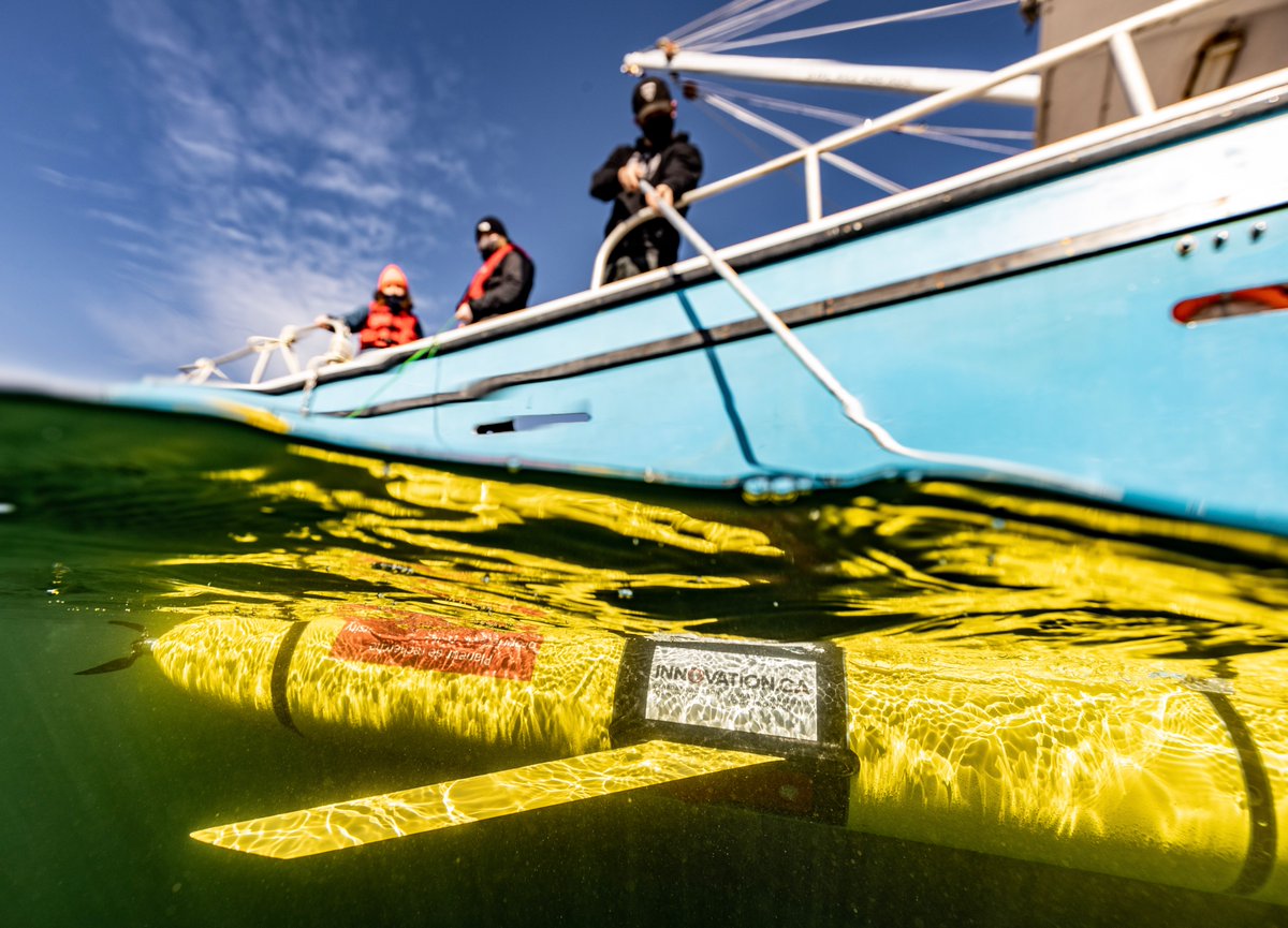 OTN has been awarded a grant of $38.5 million from <a href="/InnovationCA/">CFI / FCI</a>'s (CFI) Major Science Initiatives (MSI) Fund! Learn more about the impacts of this investment on aquatic species research in Canada and around the world: bit.ly/3CiOc5U