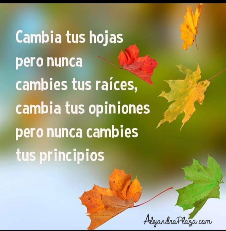 NancyRo44557203's tweet photo. https://t.co/5Z858Qwox9