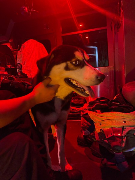 CommunityVFD's tweet image. We responded to a residential fire early yesterday morning on Tamayo Dr. Last night, we had a dog visit us twice who unbeknownst to us belonged to the victim&apos;s of the house fire. Early this morning, we were able to locate the dog and reunite it with the family. #hounews