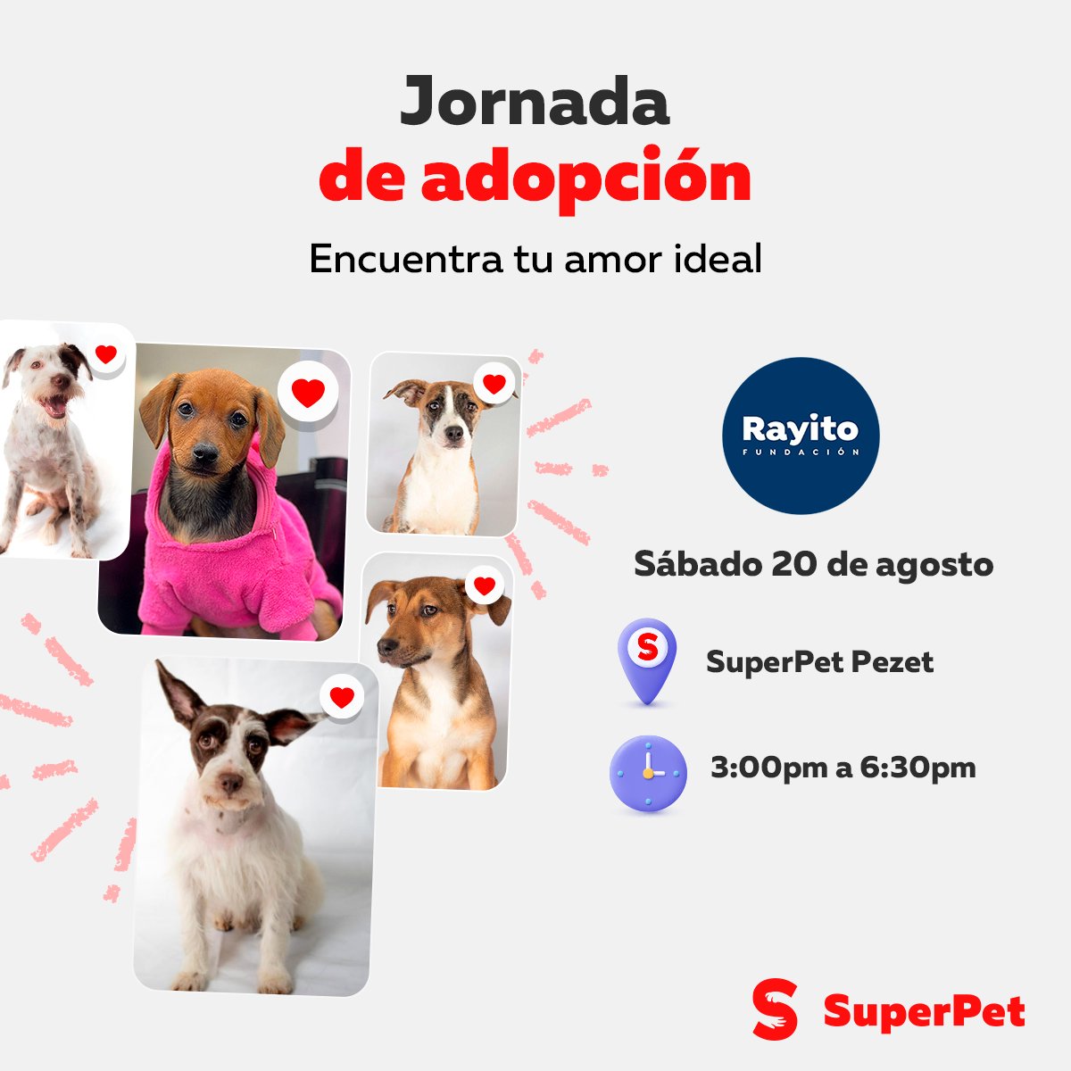 SuperPet_pe's tweet photo. Perritos en busca de amor 🐶🥺💗
Junto a Fundación Rayito presentamos nuestra Jornada de adopción. Este sábdo 20 de agosto, de 3pm a 6:30pm en SuperPet de Pezet, San Isidro. 

📲más detalles aquí: https://t.co/8maKp7TRmj https://t.co/QmGUYYFZ7c