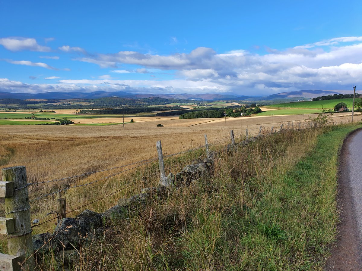 AdminFarm's tweet image. 