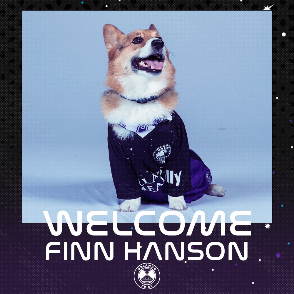 ORLPride's tweet photo. NEWS: Orlando Pride sign top pawspect Finn Hanson to contract in exchange for unlimited belly rubs, telling him he's a good boy and treats 🐶

@hay_hanson | #PrideOfOrlando https://t.co/eyd4v32l4p