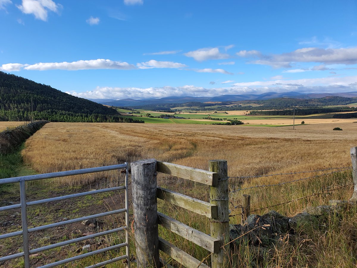 AdminFarm's tweet image. Lovely morning for a trip up Royal Deeside to meet a new client