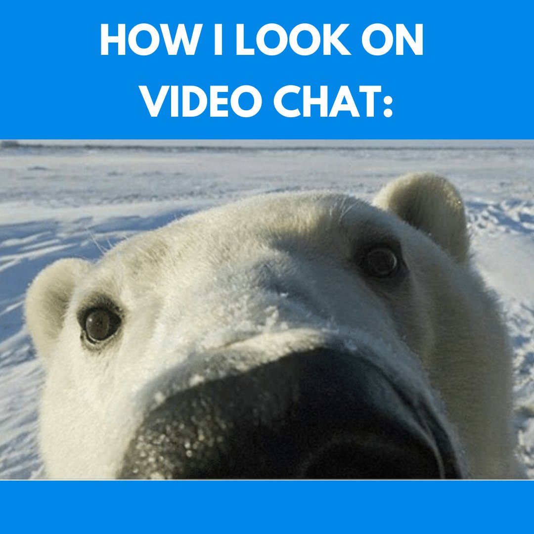 camsurfchat's tweet photo. Can you see me now? 😂 #findnewfriends #CamSurf #videochatting🎥 #friendmemes https://t.co/wttatNhuEL
