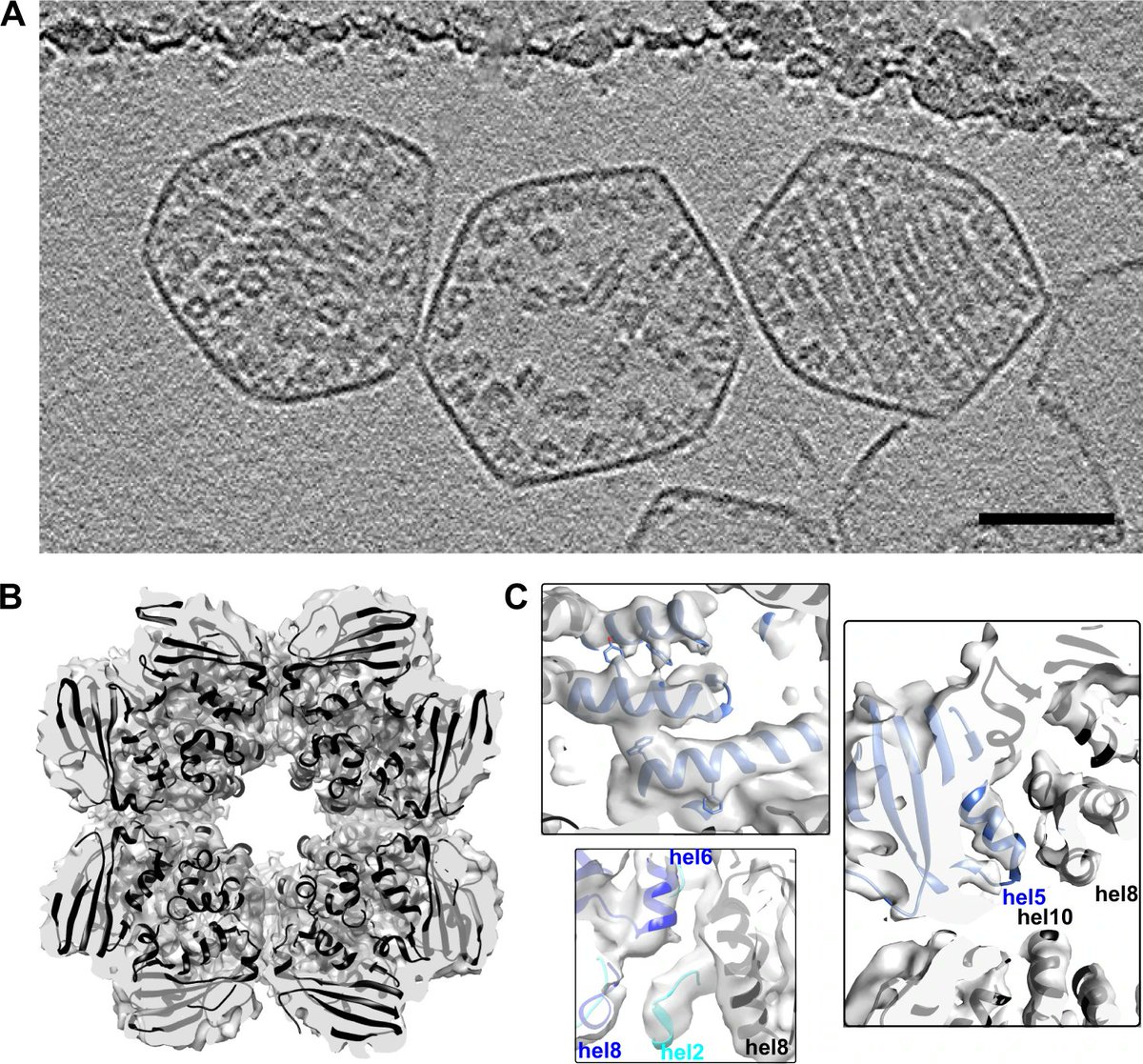 Jensen Lab tweet media