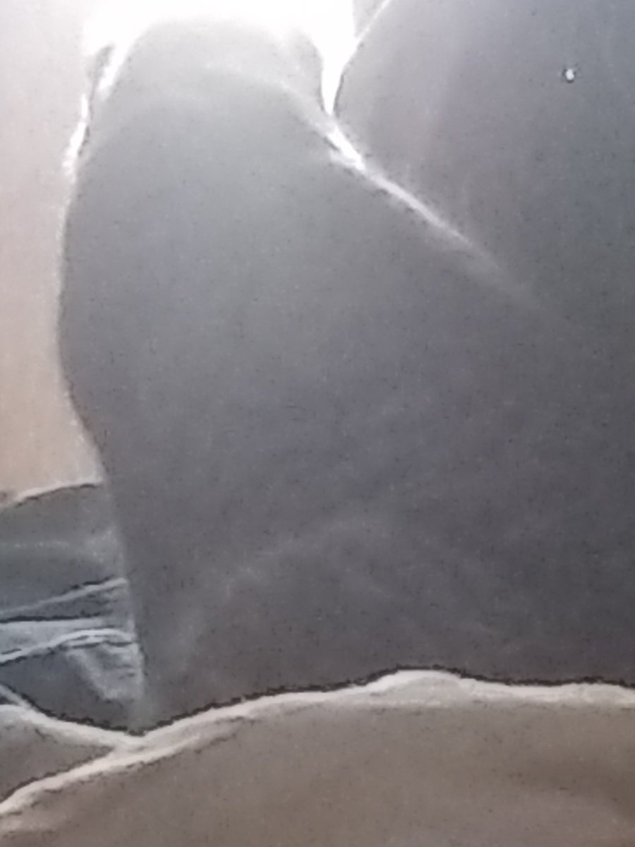 putadetalia's tweet image. hola porfavor les pido ayuda, necesitamos donaciones para el gatito de mí mamá para pagar el veterinario, tiene la cadera rota porfavor porfavor si son de argentina y pueden donar se los voy agradecer mucho mucho de verdad, ayudenlo porfavor
RT PORFA ‼️