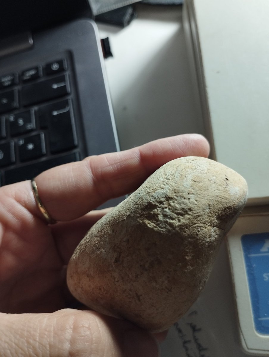 MarionPrev's tweet photo. Today's artefacts: hammerstones and retouchers from the #MiddlePaleolithic site of Nesher Ramla, Israel.
Soon the first stage of analysis of all the percussion tools, for the entire archaeological sequence will be done ! 💪🤞🪨 https://t.co/TgN30JLBUL
