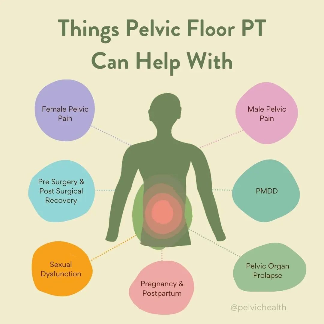 PelvicHealth's tweet photo. What can #pelvicfloor physical therapy help with? It can help with:
✨  Female #pelvicpain 
✨  Male pelvic pain
✨  #PMDD
✨  Pre &amp; Post Surgical Recovery 
✨  Pelvic Organ #Prolapse
✨  #Postparum
✨  Pregnancy
✨  Sexual Dysfunction https://t.co/imgSbPwzrf