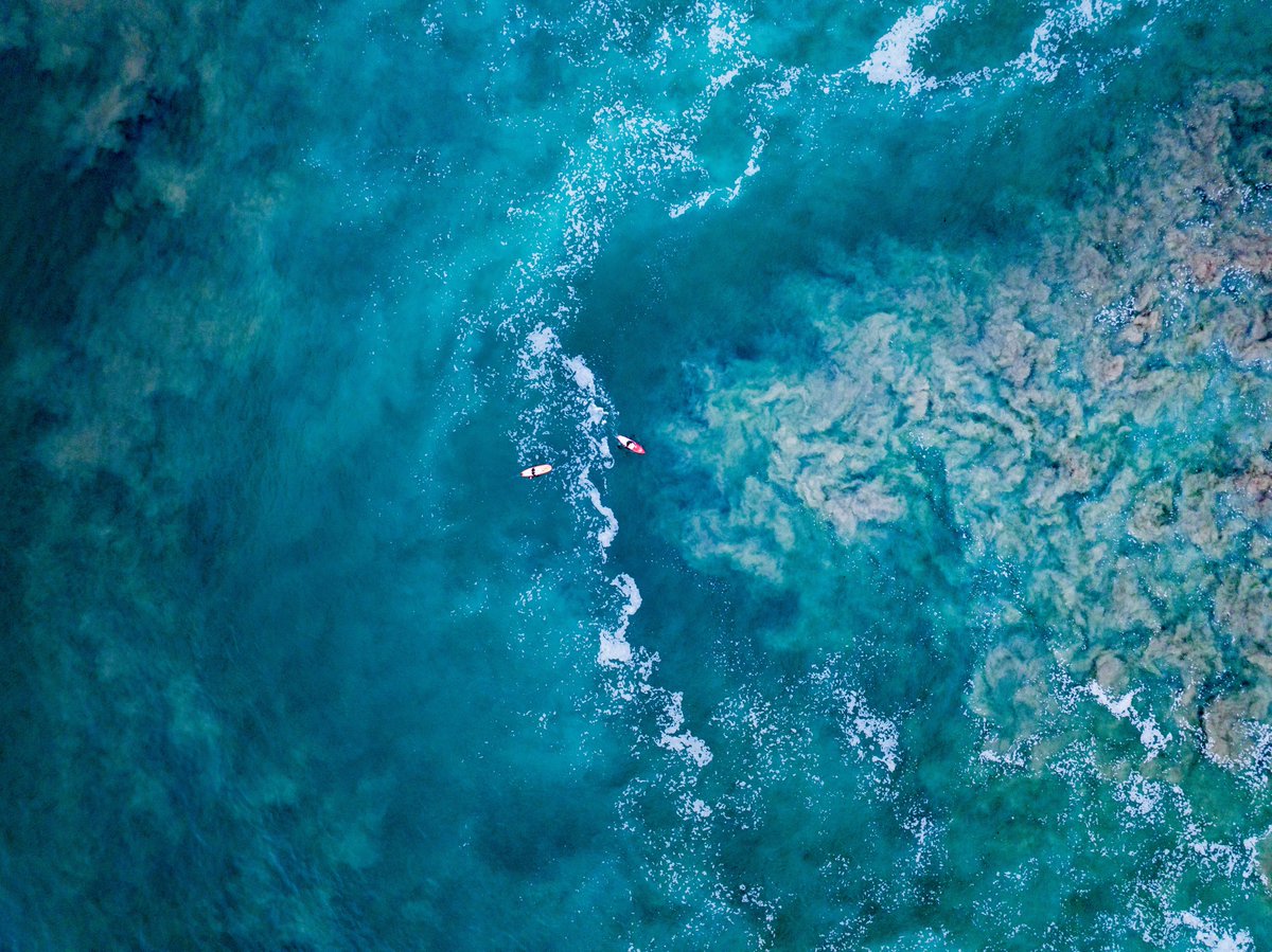 Andrew Mulholland tweet media