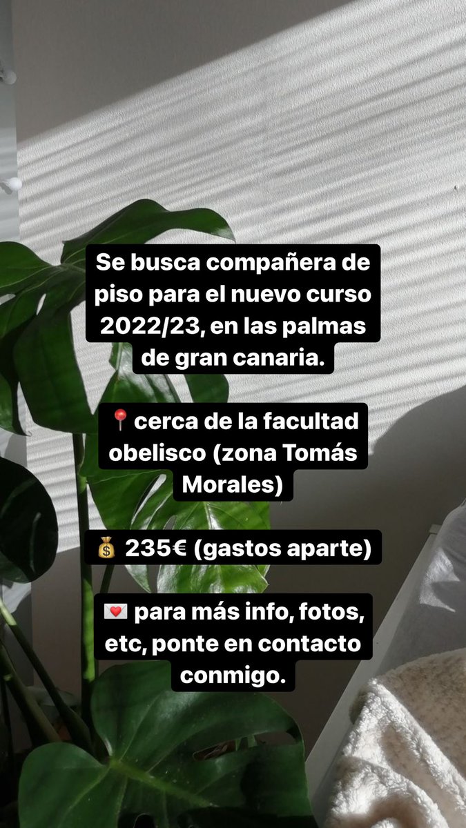 wangjajjk's tweet photo. Se busca compañera de piso, en las palmas de gran canaria.

Escríbeme si estás interesada ✨ https://t.co/4aeExJt3u2