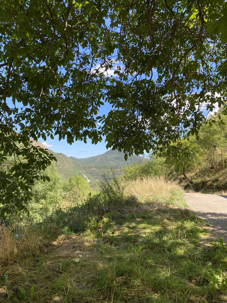 KRamondy's tweet photo. Balade à #Coustouges les chemins de la #Retirada et le patrimoine catalan @LancelotArzel @AlazardJ @GuimonnetCh @MRivesaltes https://t.co/Mu2TBgKEXe