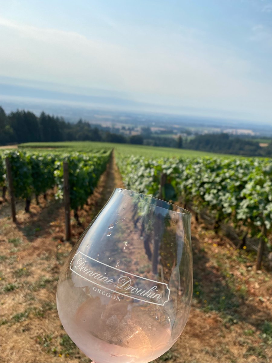 Jerod_Bannon's tweet photo. Breakfast wine at Domaine Drouhin, OR https://t.co/FT722XT2gg