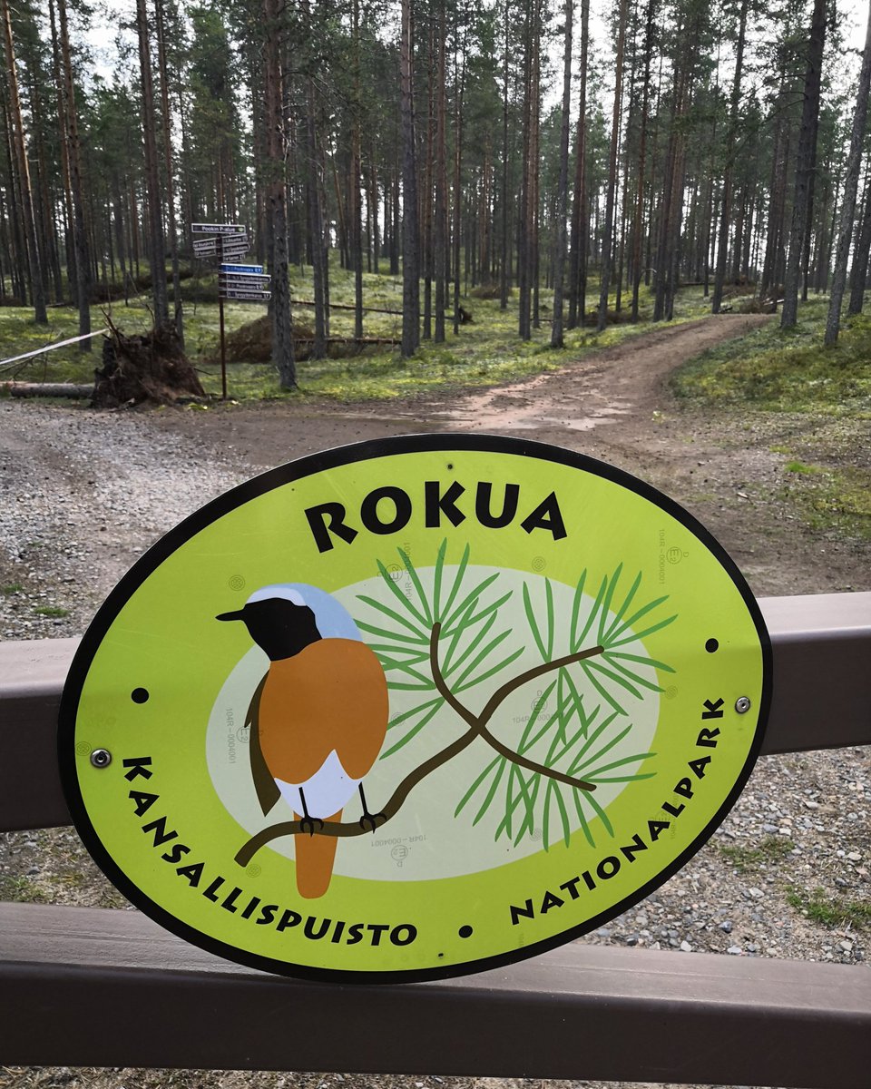 It was good to end the first week of the field course in @RokuaGeopark. In addition, this week we have focused especially on #microclimate, #geodiversity, water quality, land use changes and ecosystem services.

@UniOulu @geobiodiv  #teaching #PhysicalGeography #geography