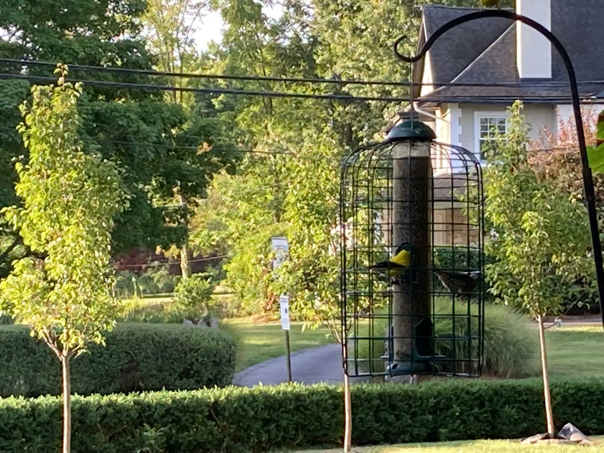 LisaKohnWrites photo