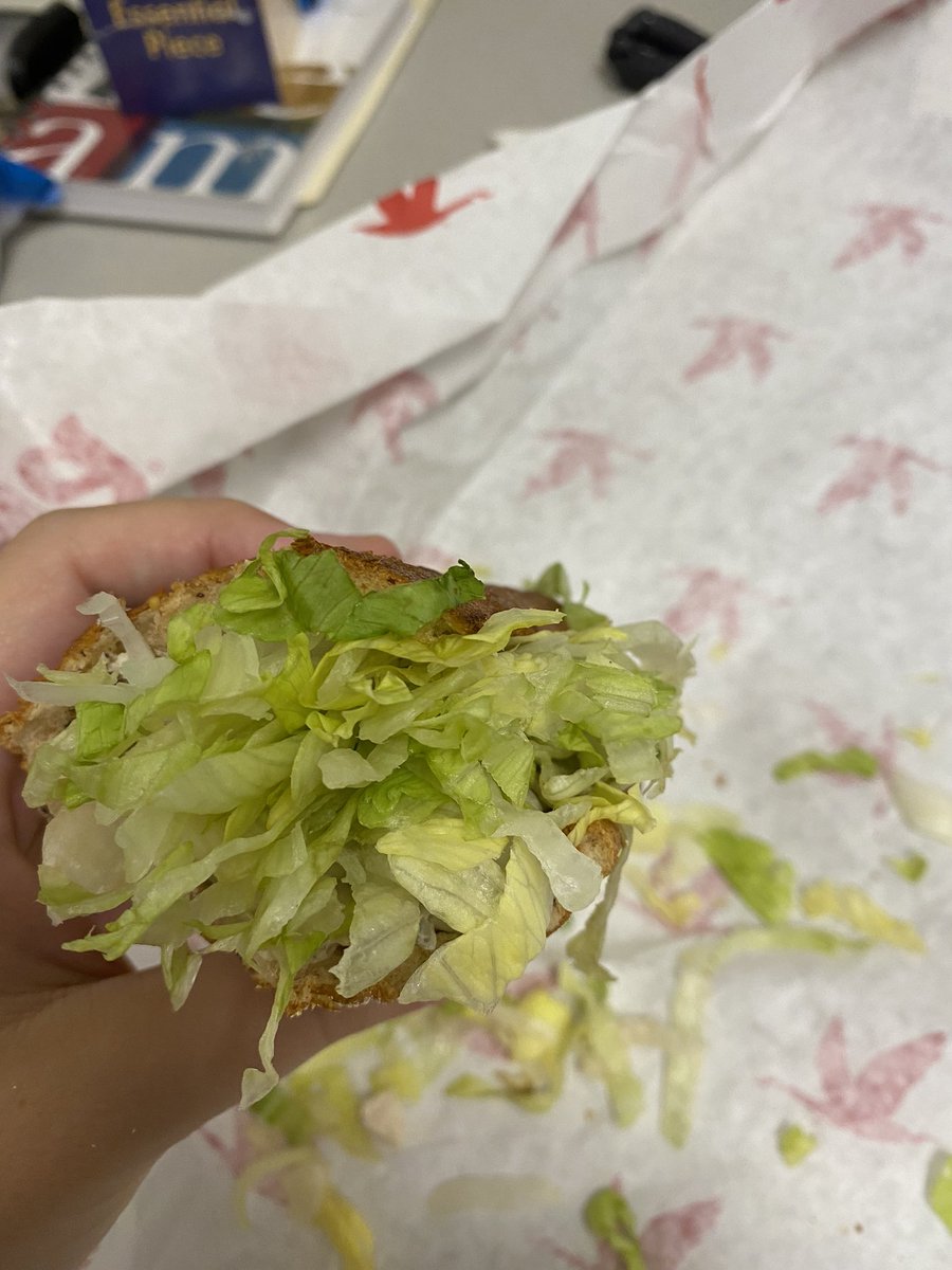 annaagallo's tweet photo. @Wawa when I added lettuce to my sandwich I didn’t mean make it a lettuce sandwich https://t.co/eImVA77eRs