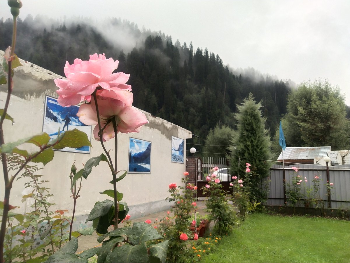 KTravelAdvisor's tweet photo. On #WorldPhotographyDay here’s my entry #Pahalgam 14th August 2022.

 #Kashmir. https://t.co/GKKlGoR3fw