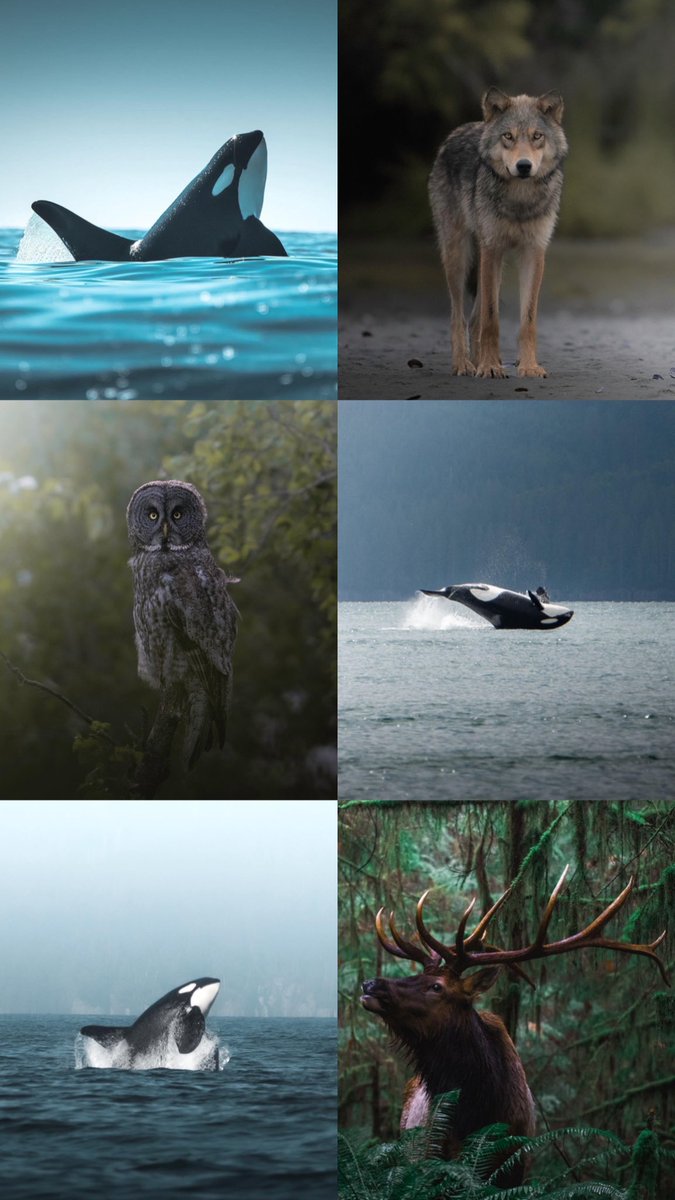 Happy #WorldPhotographyDay