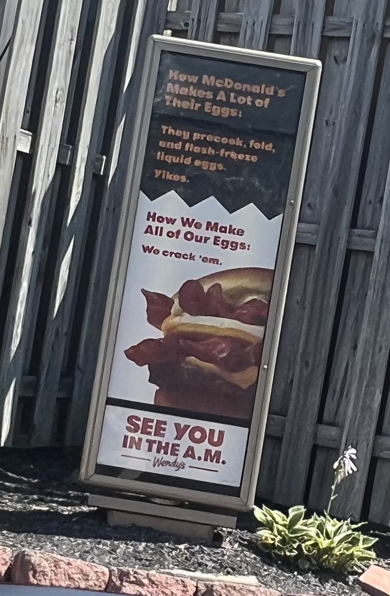 _tayyxo_'s tweet photo. what do you think of @Wendys throwing shade at you @McDonalds ? https://t.co/XodITU0gFa