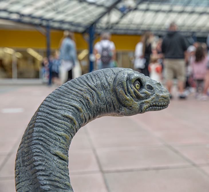It's just one more week until you get to #MeetTheDinos 🦕

Are you excited? We certainly are 🦖

Find out more by visiting angliasq.com