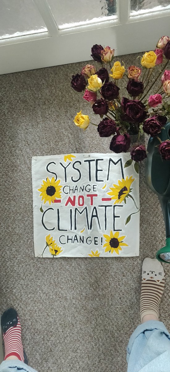 TonePersson's tweet photo. #climatestrikeonline #FridaysForFuture https://t.co/LFo2XW6RaU