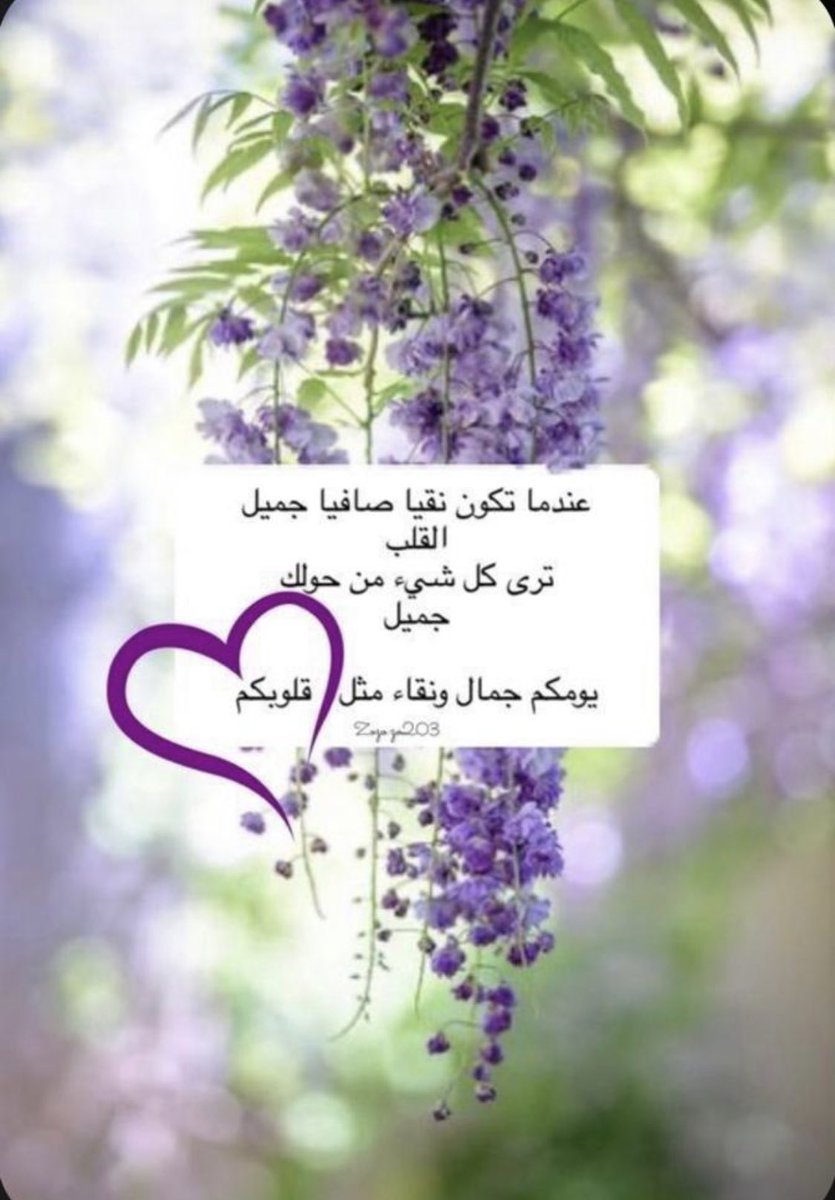 بعض القلوب إحساسها يشبه الورد 
تزهر لقا  وإن مرّها  البعد   تذبل 

وأجمل قلوب نعيشها شايلة الود
فيها الوفا وإن هزّها الشوق تسأل...💜
طاب مساؤكم بكل خير ومسرة ❤💚💛💜🖤💙