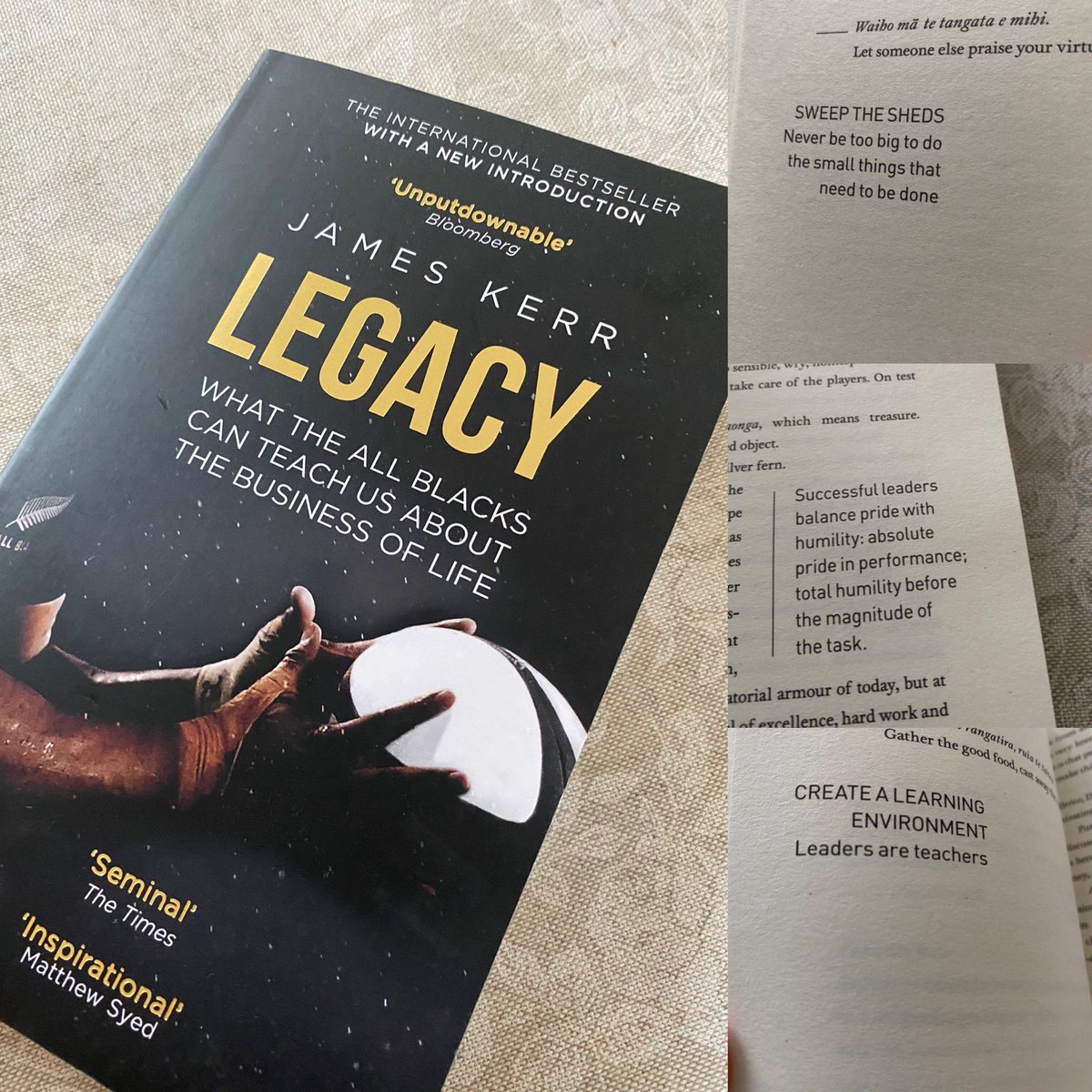 Louise Stanton tweet media