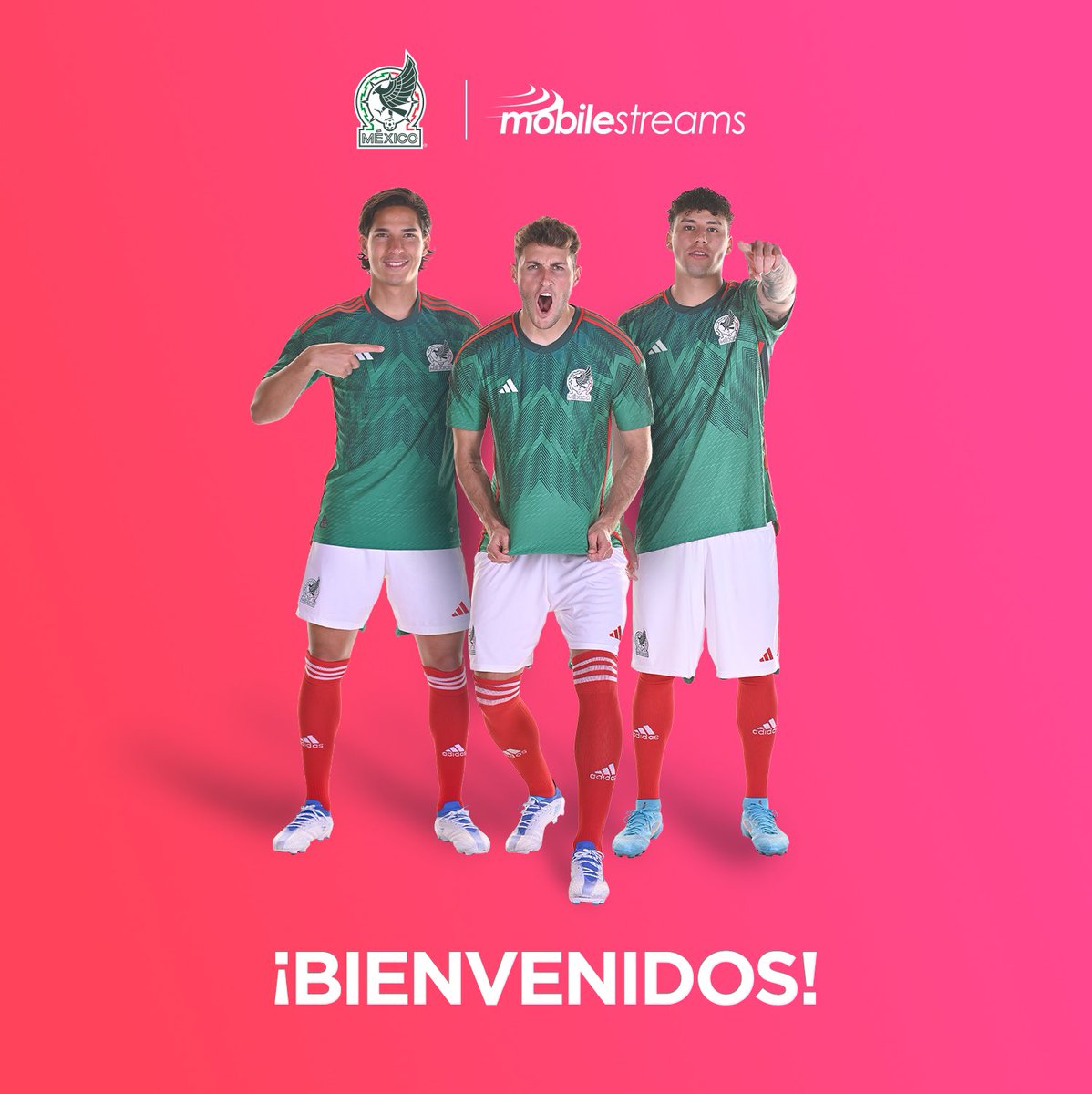 miseleccionmx's tweet photo. ¡Bienvenido, @MobileStreams! 😃 👋🏻

Proveedor Oficial de NFTs de la Selección Nacional de México. 💚 🚀 https://t.co/g8Fep3WqrB