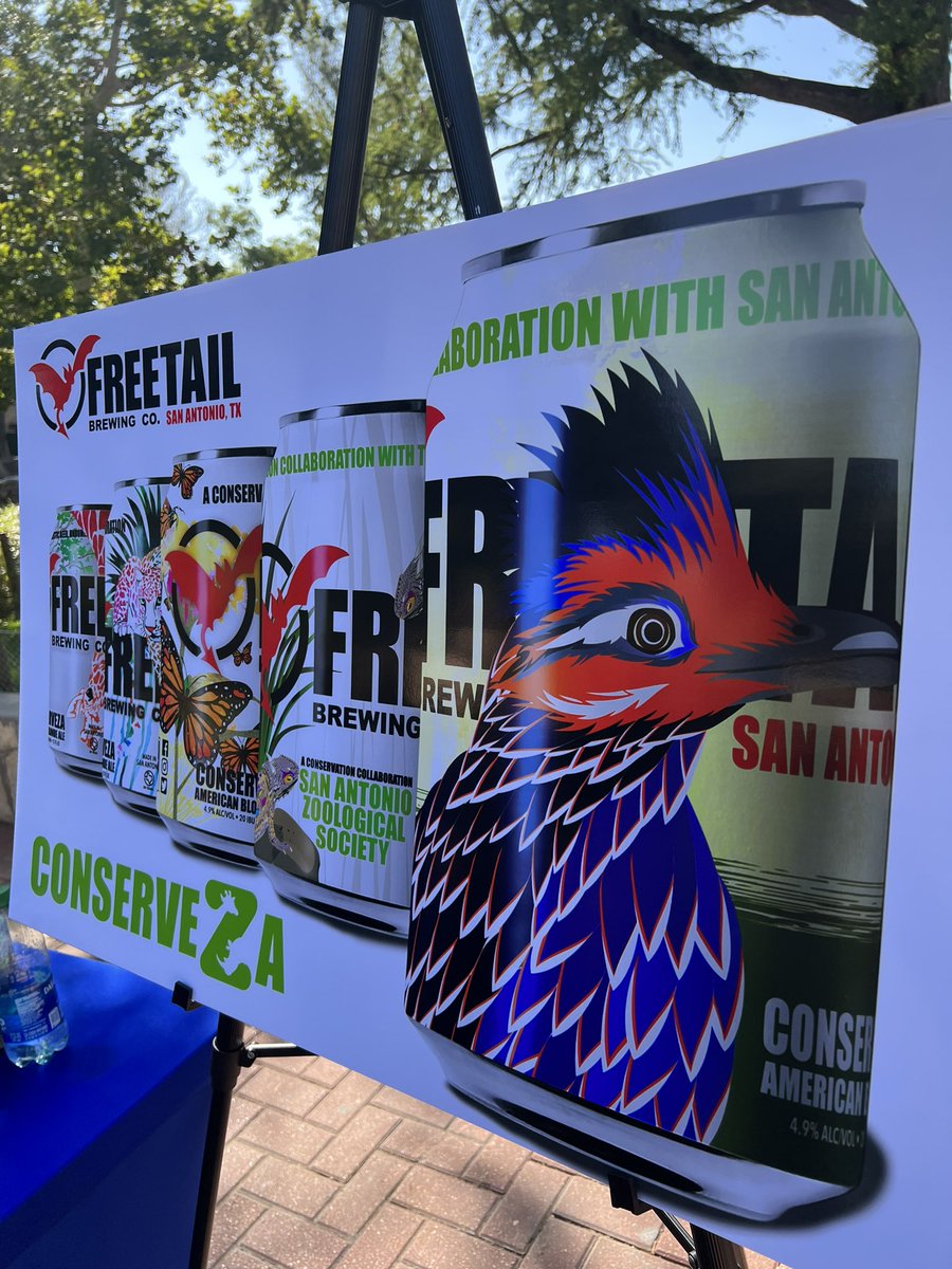 MananaZoo's tweet photo. Check out the beer can design from @freetailbrewing &amp; @sanantoniozoo featuring a roadrunner!  The new cans will be out soon and sales support #conservation. #SAZOO #Conserveza #LetsGo210 #UTSA #210TriangleOfToughness https://t.co/QXmJoAvKAq