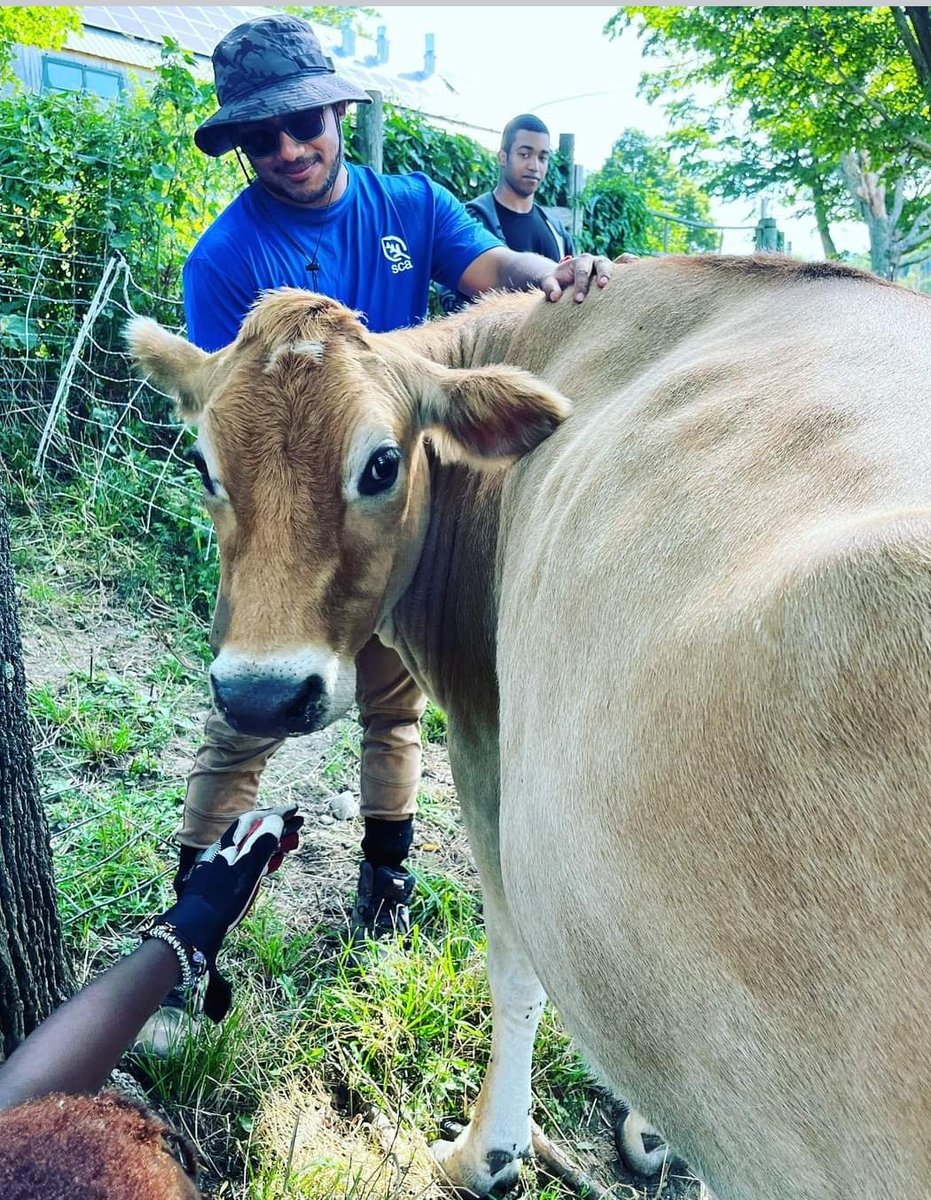 CardinalHayes's tweet photo. Happy to see our Hayesman enjoying their summer working with the Student Conservation Association at Merck Forest and Farmland Center. #UpHayes https://t.co/47CqkXL1fQ