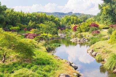 Ask Jesus any questions you have.
What is it like to live on the New Earth? What does the community of believers look like?
What will your relationship with God be like and how will that affect you?
What will make you the happiest?

meatformaturity.org/how-to-improve…