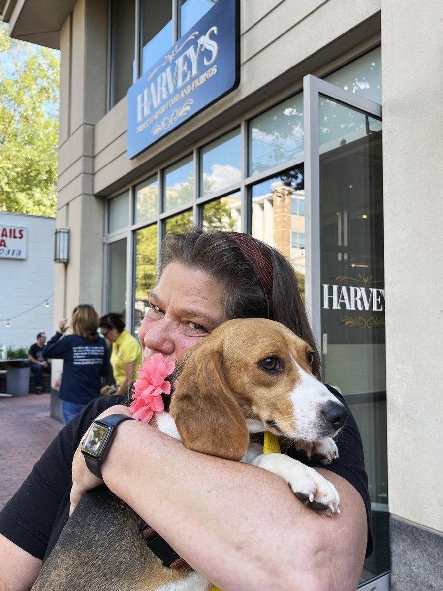 lostdogrescue's tweet photo. Heartfelt thanks to the crew at Harvey's In Falls Church for a rocking great time and for Chef Harvey’s generous support of LDCRF. So great to see the Falls Church community including LDCRF volunteers/alum swing by in a steady stream. Can’t wait to do this again!
#livelocalFC https://t.co/NKCsPlBGAF