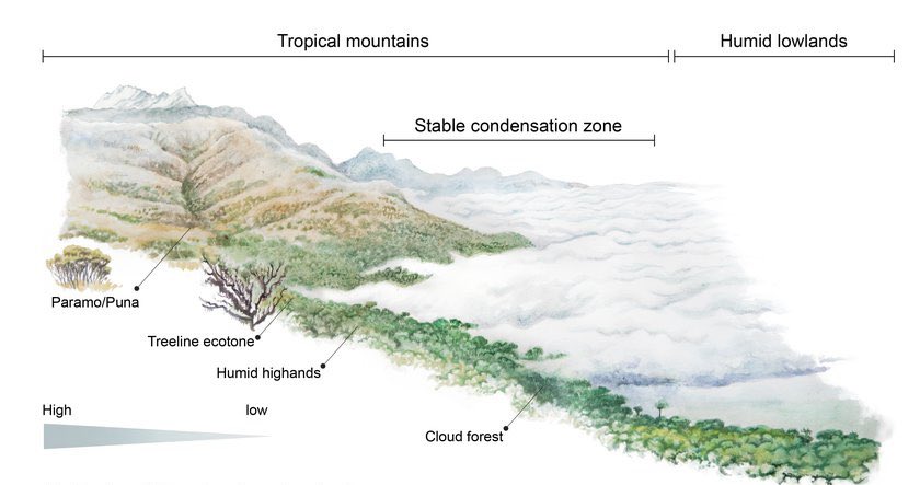 Checkout our most recent paper: Biodiversity cradles and museums segregating within hotspots of endemism | Proceedings of the Royal Society B: Biological Sciences royalsocietypublishing.org/doi/abs/10.109…